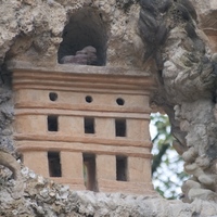 Photo de France - Le Palais idéal du Facteur Cheval